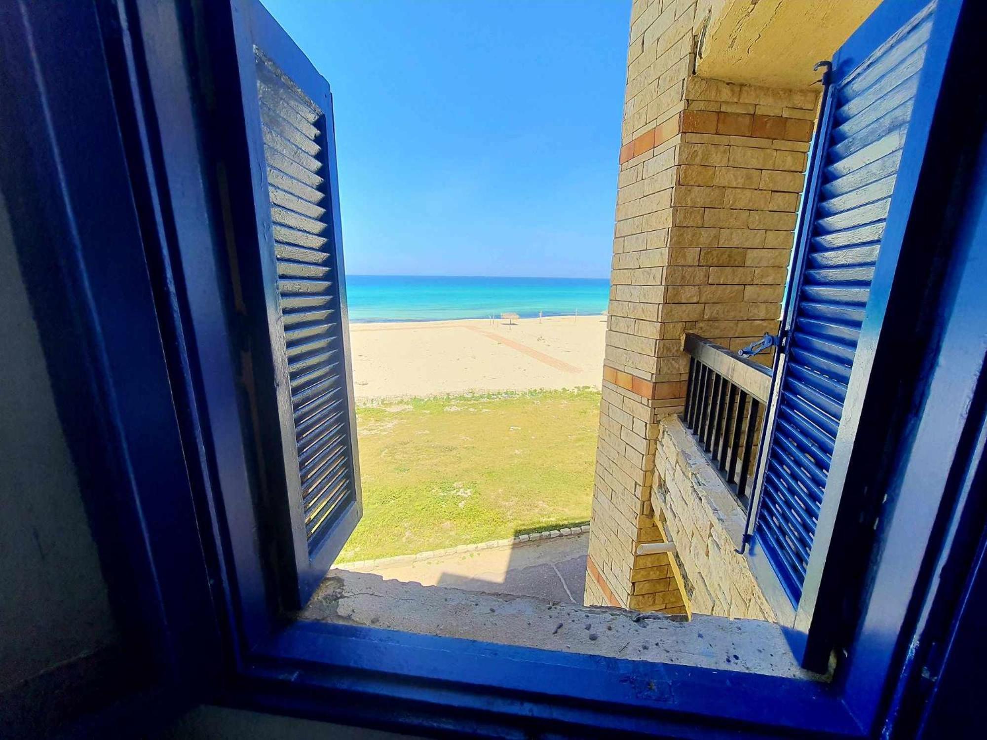 Bellevue Village Sea View * Alexandria